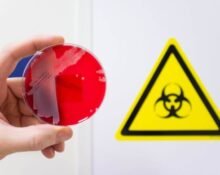 Lab-made pathogens being handled in a biohazard facility with synthetic virus sample in petri dish