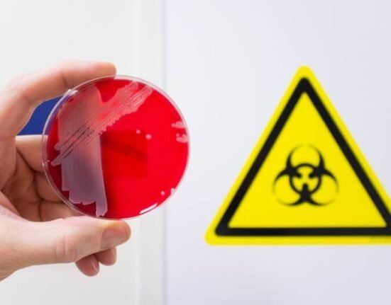 Lab-made pathogens being handled in a biohazard facility with synthetic virus sample in petri dish