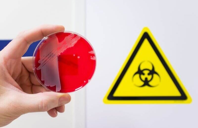 Lab-made pathogens being handled in a biohazard facility with synthetic virus sample in petri dish