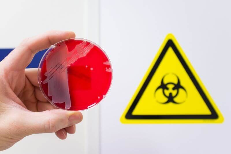 Lab-made pathogens being handled in a biohazard facility with synthetic virus sample in petri dish