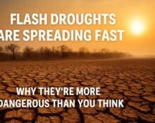 High-resolution image of cracked, dry landscape during a flash drought, showing signs of extreme water shortage